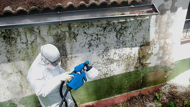 Trusted Mold Testing service in Sperryville, VA - Cheap Mold Removal
